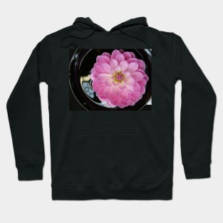 Dahlias #3 Hoodie